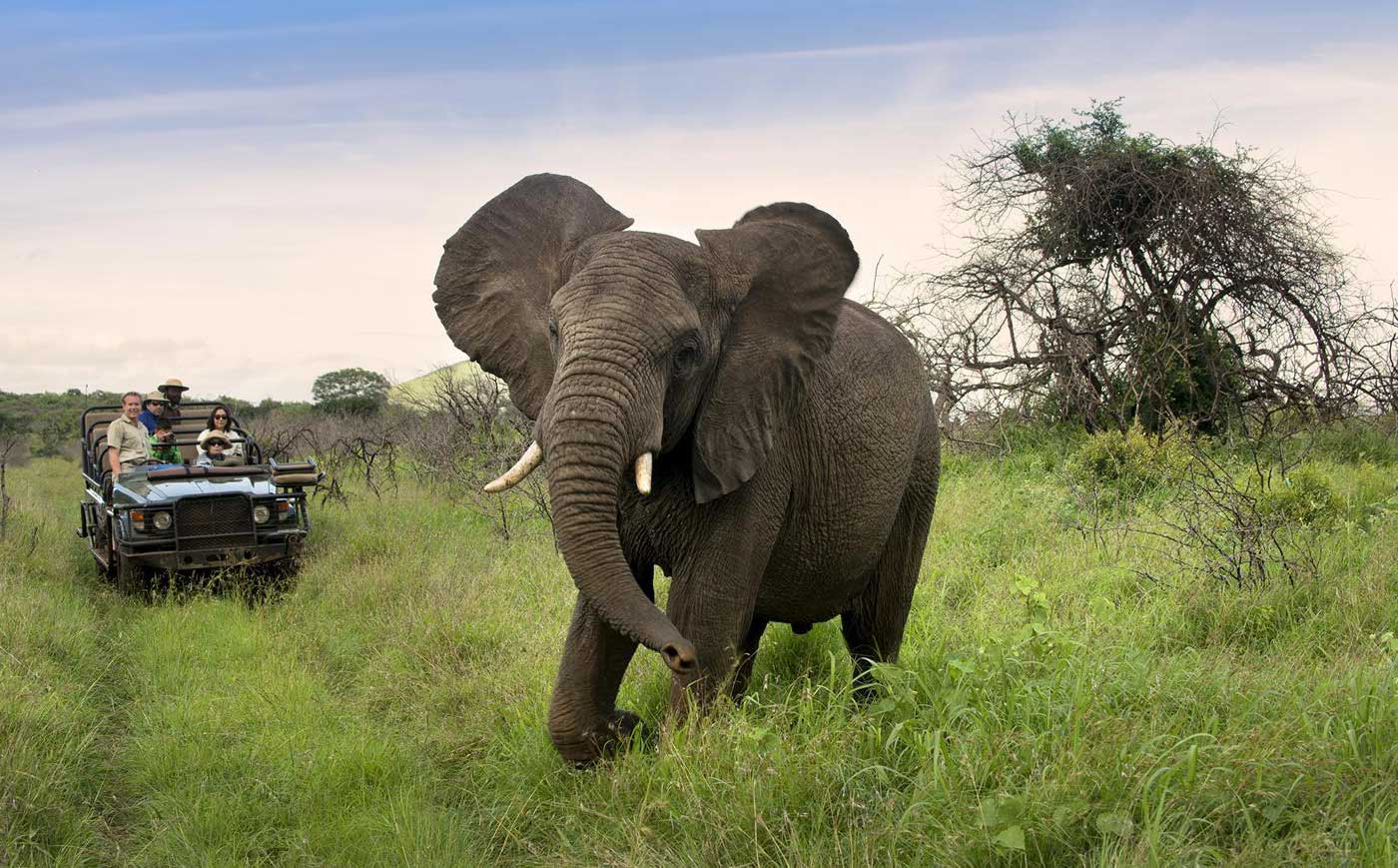 Singita / Singita Grumeti / Tanzania